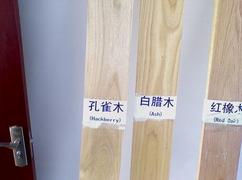 ľԔB