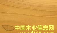Z鱣SԔB
