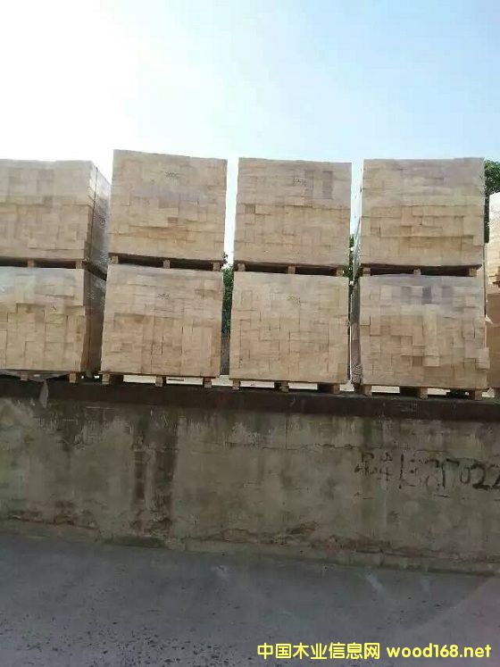 zľԔB
